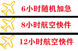 阿里普兰机场货运快递公司,专业空运当天件